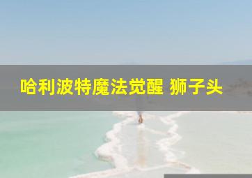 哈利波特魔法觉醒 狮子头